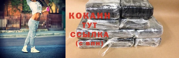 мет Бородино