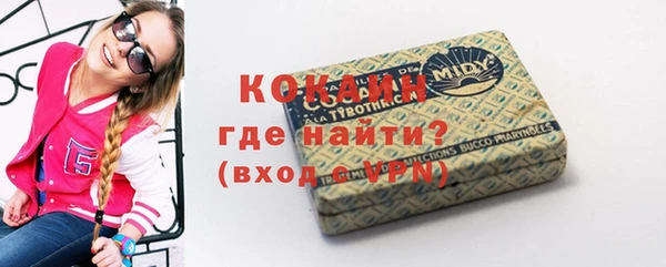 мет Бородино