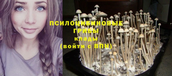 мдпв Бронницы