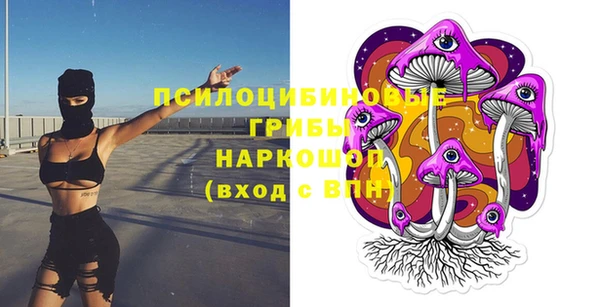 соль ск Богородицк