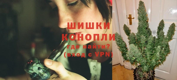 PSILOCYBIN Богородск