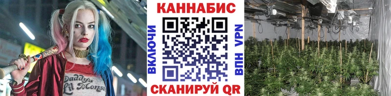 купить наркотик  hydra как войти  Канабис White Widow  Озёрск 